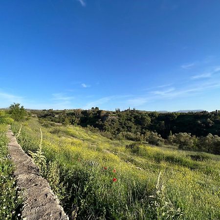 Villa Ignacia B&B - Naturaleza Entre Ronda Y Setenil 아리아테 외부 사진