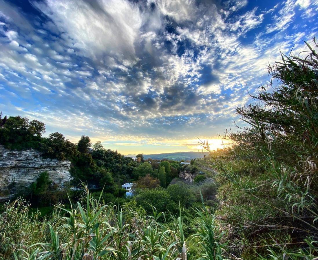 Villa Ignacia B&B - Naturaleza Entre Ronda Y Setenil 아리아테 외부 사진