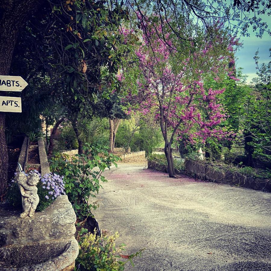 Villa Ignacia B&B - Naturaleza Entre Ronda Y Setenil 아리아테 외부 사진