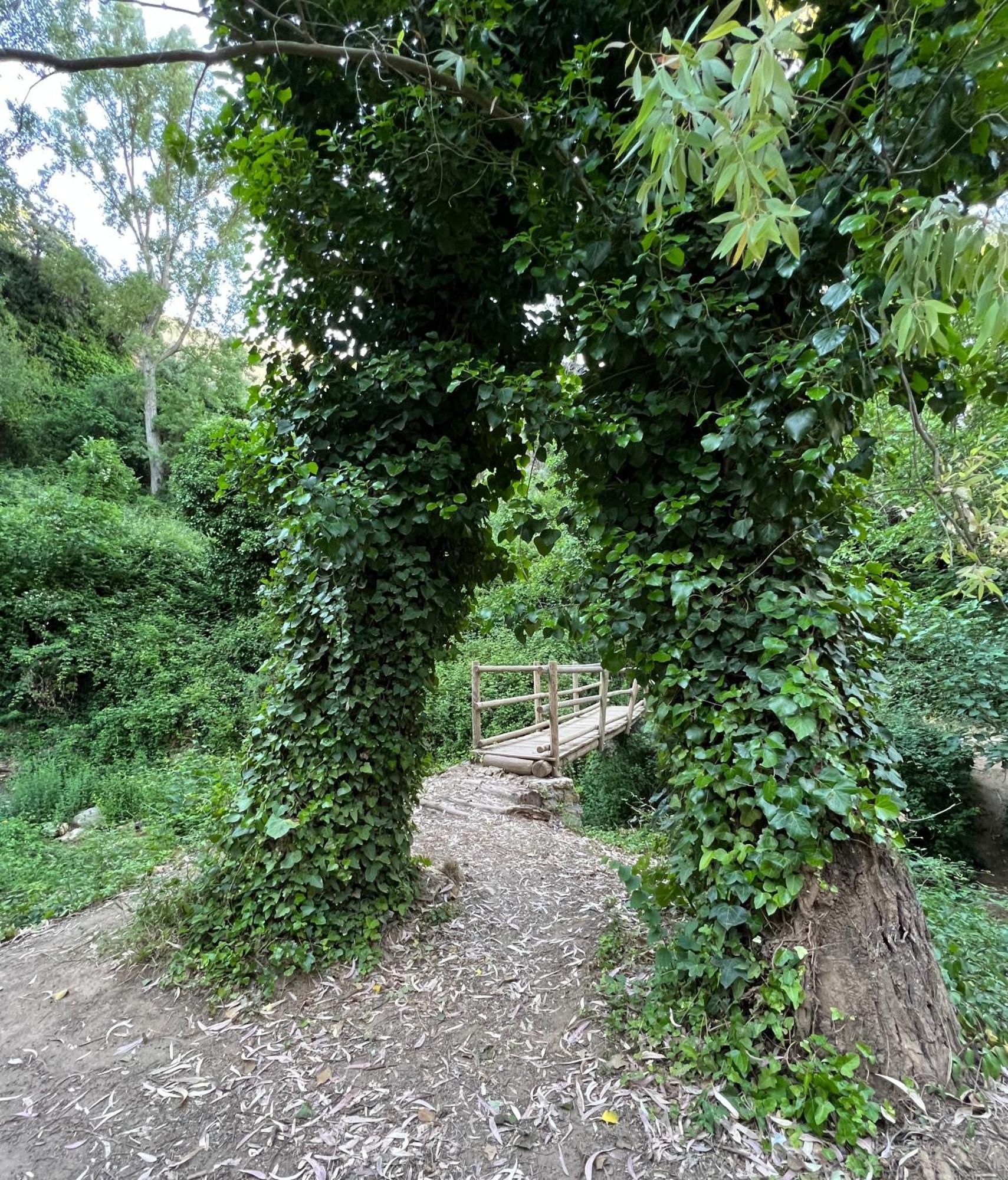 Villa Ignacia B&B - Naturaleza Entre Ronda Y Setenil 아리아테 외부 사진